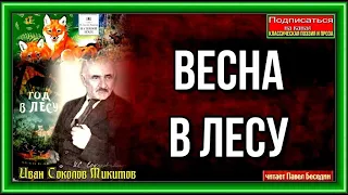 Весна в лесу  — Иван Соколов Микитов —читает Павел Беседин