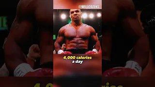 Mike Tyson Body Transformation