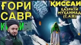 Мор почаи Хазрати АБУБАКР РО дар Ғори Савр Газид 😥 ҚИССАИ ДОМУЛЛО АБДУЛКОДИР