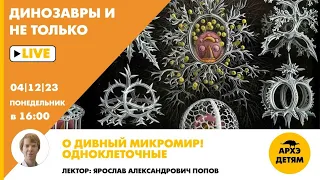 Занятие "О дивный микромир! Одноклеточные" кружка "Динозавры и не только" с Ярославом Поповым