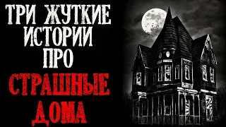 Истории на ночь (3в1): 1.Собаки-призраки, 2.Проделки домового, 3.Стpашная квартира