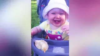 10.FUNNY VINE ★ Самые смешные дети и животные на ферме _ Funny Babies and Animals Videos.mp4