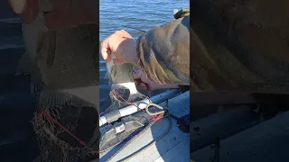 Рыбалка на поплавок.( Подлещик )🎣👍