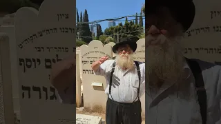 Tev Aviv Nachlat Yitzchak cemetery #3- Sadigura Rebbe's - Rabbi Chaim Dalfin