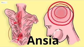 🔧 4 strumenti per superare l'ansia