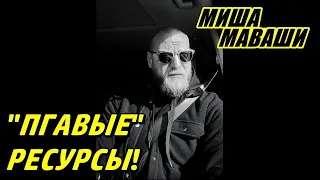 "ПГАВЫЕ" ресурсы!  Миша Маваши