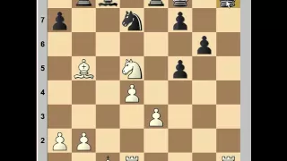 The Queen's Gambit Declined: Kasparov vs Dur.