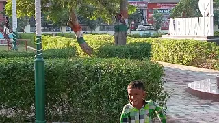 mk Khandela Nehru park video