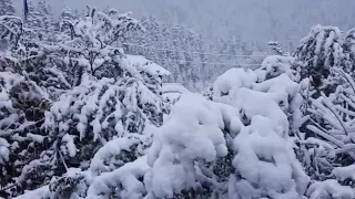 snow at kinnaur (Himachal Pradesh)