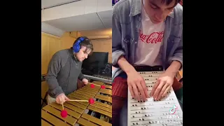 Vibraphone Duet with Jacob Collier "Carolina in My Mind" By James Taylor