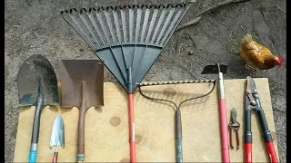 HomeDabbler 101: The 8 Garden Tools You Need