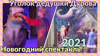 Уголок дедушки Дурова 2021-2022, Новогоднее приключение Султана