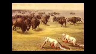 The Great Buffalo Hunt
