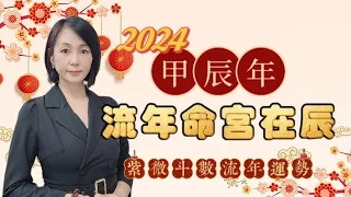 2024甲辰年流年運勢分析｜甲辰年流年命宮在辰｜紫微斗數14主星組合｜廉破武陽