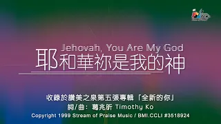 【耶和華祢是我的神 Jehovah, You Are My God】官方歌詞版MV (Official Lyrics MV) - 讚美之泉敬拜讚美 (5)