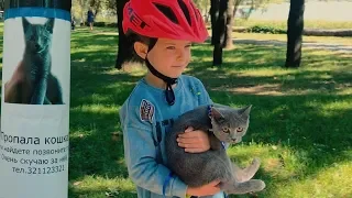 Little kitten in the summer park