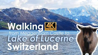 Walking Switzerland from Meggenhorn Castle to lake of Lucerne