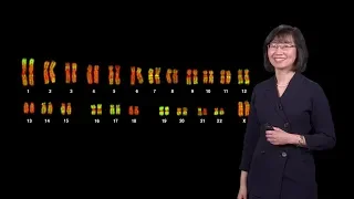 Jeannie Lee (Harvard) 1 - X Chromosome Inactivation: Making and Breaking the Silence