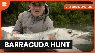 Monster Barracuda Hunt - Chasing Monsters - S02 EP4 - Nature & Adventure Documentary