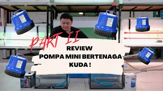 REVIEW & BATTLE POMPA CELUP KANDILA PSP 2300 Z VS ARMADA AM 2300 Z