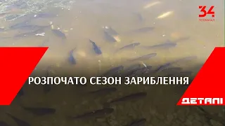 Розпочато сезон зариблення: восени у річку Дніпро випустили майже 1,5 мільйони мальків