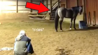 Девушка решила проверить реакцию лошади на плачь, результат превзошел все ожидания!