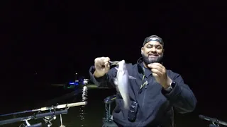 Crappie Fishing At Night || Live Fishing Video || Crappie Fishing With Minnows