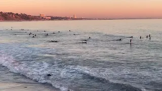 Surfing Malibu,California🇺🇸  Сёрфинг в Малибу,Калифорния .