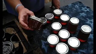 How To Make American Beautyberry Jelly