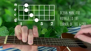 Ween - Ocean Man // Ukulele Tutorial