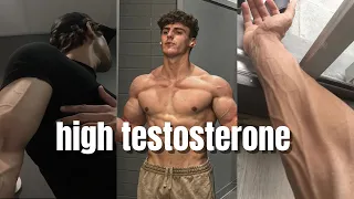 why you need to boost your testosterone level ASAP (full guide)