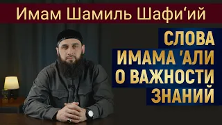 СЛОВА ИМАМА ’АЛИ О ВАЖНОСТИ ЗНАНИЙ | Имам Шамиль Шафи’ий