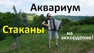 Аквариум - "Стаканы" (на аккордеоне!) / Евгений Алексеев