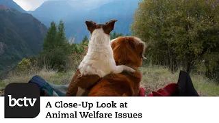 Memorial Day, Blue Angels, Wild Mushrooms, and More! | A Close-Up Look at Animal Welfare Issues