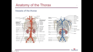 Traumatic Chest Injuries