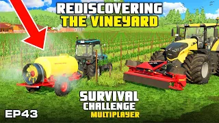 REDISCOVERING THE VINEYARD! | Survival Challenge Multiplayer | FS22 - Episode 43