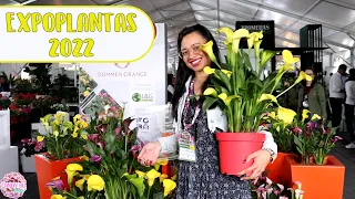 Secretos de los VIVEROS para producir plantas hermosas ExpoPlantas 2022 | Candy Bu