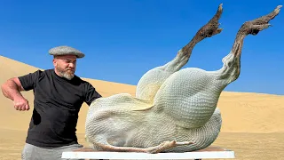 Butchering And Cooking A Whole Ostrich In The Eastern Desert! Delicious Stew