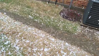 Hail Storm in Lantana on March 14, 2024