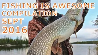 Fishing Is Awesome Compilation September 2016