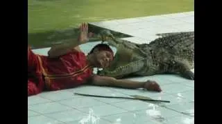 Man puts head inside a Crocodile's Mouth in Ko Samui, Thailand