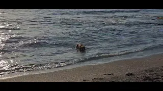 Mediterranean sea Alanya