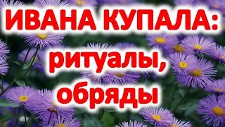 Когда праздник ивана купала купание на купало купальский букет из трав оберег  для дома и семьи