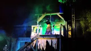 2012 Knott's Scary Farm HANGING Green Witch 40 Anniversary Halloween Haunt