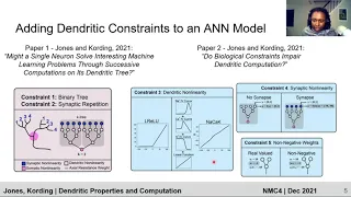 How Do Dendritic Properties Impact Neural Computation  NMC40  Ilenna Jones