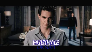 ❖Multimale || Or nah