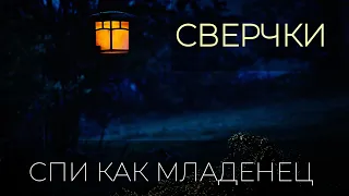 Сверчки для сна, Музыка для сна и релакса. Глубокий сон.