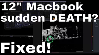12" Macbook A1534 DEAD how to fix COMMON FAILURE!