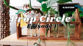 Prop Circle Episode 1: sphagnum propagation box tour + water propagations