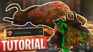 GUIA COMPLETA EASTER EGG IX "GUERRERO VENERADO" TODOS LOS PASOS (RESUMEN)